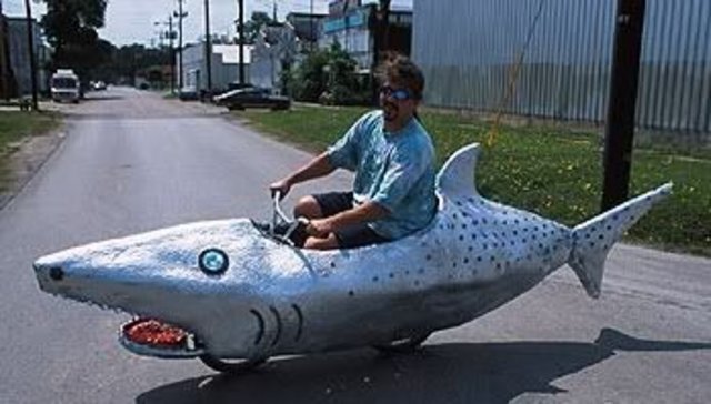 cycleshark.jpg