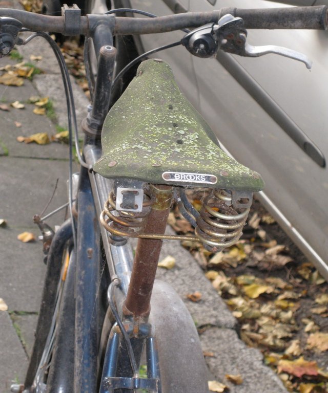 Stadtschlampe2.jpg