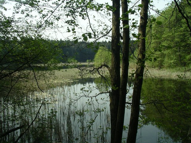 IMGP1601.JPG