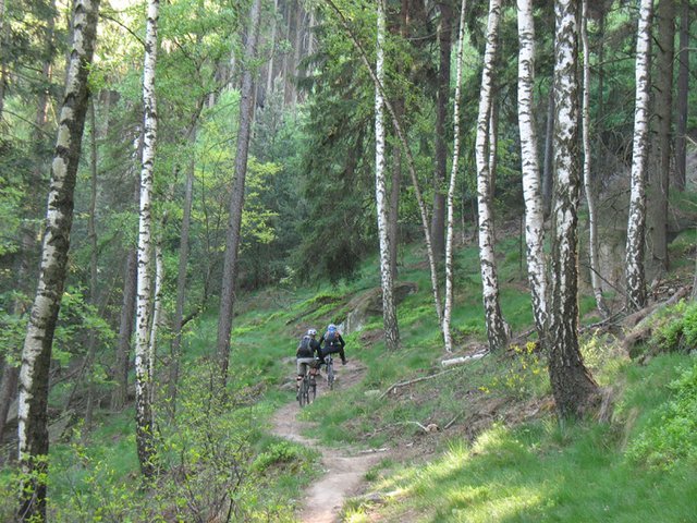 Bild_185.jpg