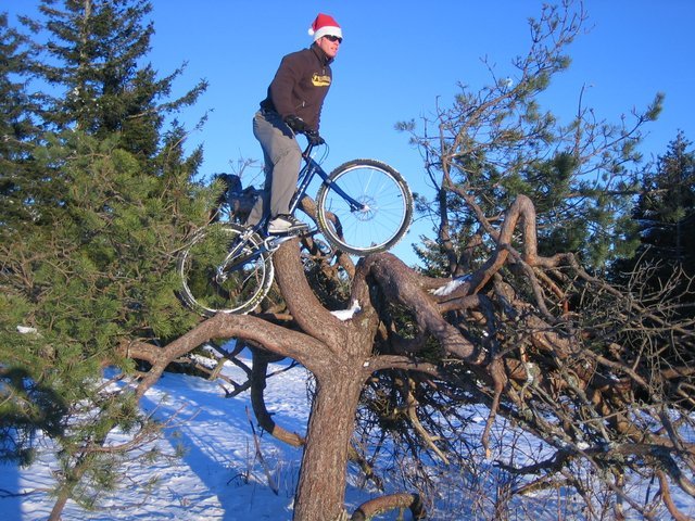 Winter_10.JPG