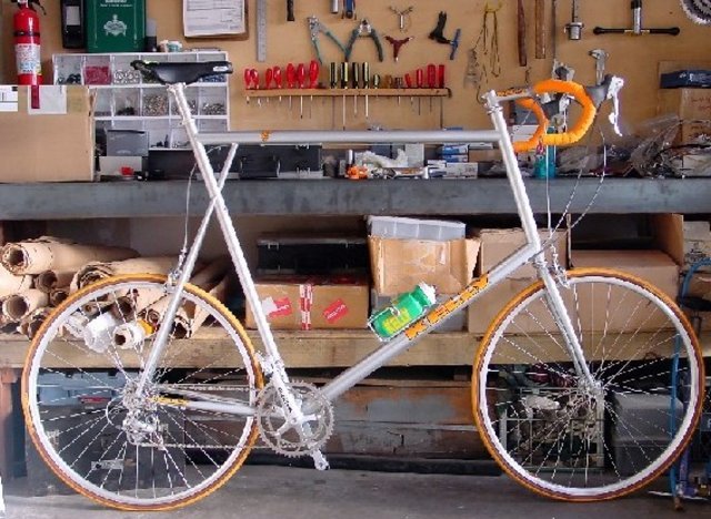 BigAssBike.jpg