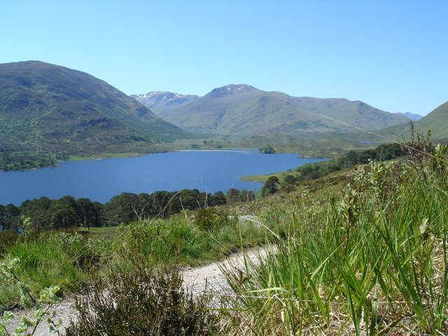 Glen_Affric_591.jpg