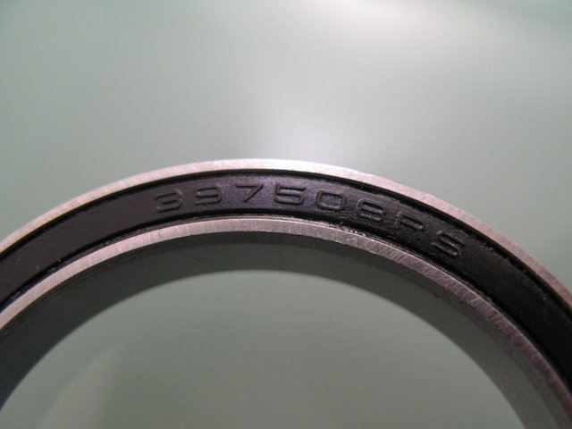 12461204an.jpg