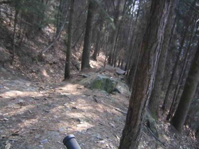 IMG_00061.JPG