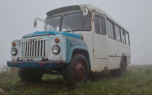 large_144.jpg