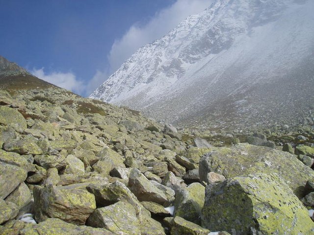 1348052.jpg