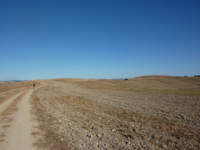 4504030346_420aa712c3_o.jpg