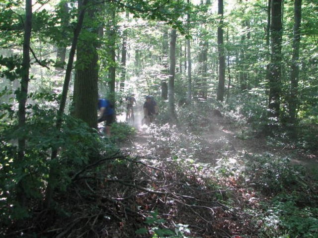 103_0309.JPG