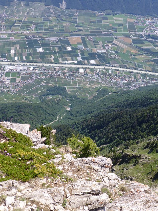 11099350nv.jpg