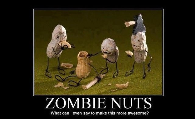 Zombie-Nuts.jpg
