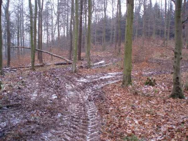 PC230010.JPG