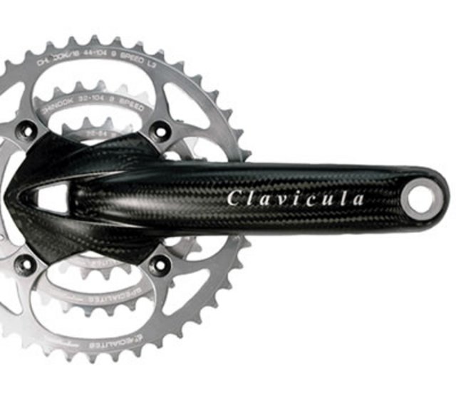 clavicula_mtb.jpg
