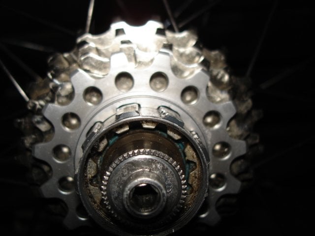DSC000751.JPG