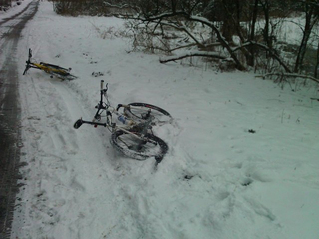13558580cc.jpg