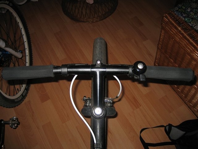 cats-cockpit02.jpg