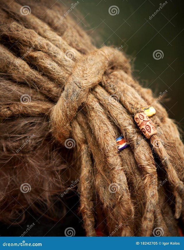 lange-dreadlocks-18242705.jpg