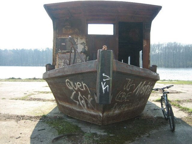 Ptdtaeddi4.jpg