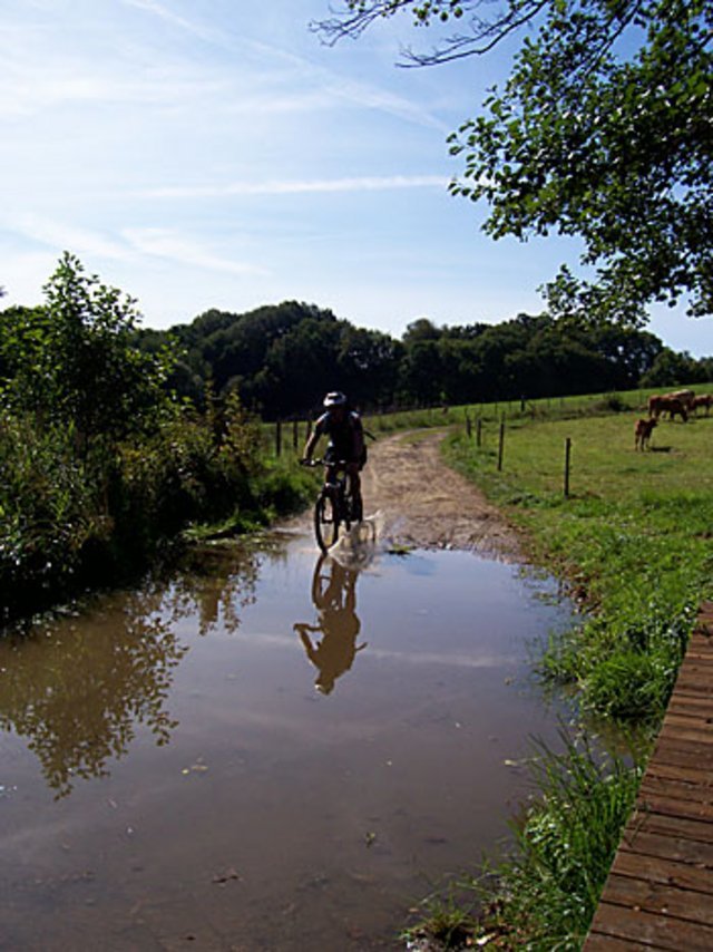 bachdurchfahrt.jpg