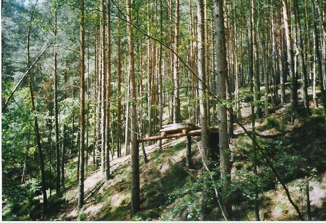 Scannen0001.jpg