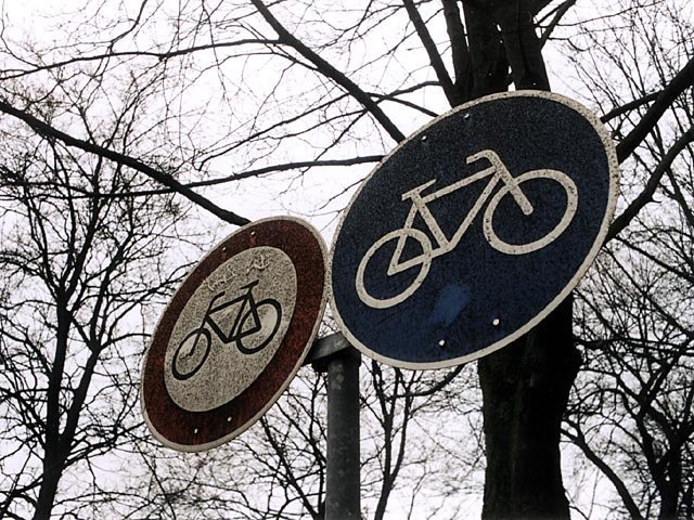 radweg.jpg