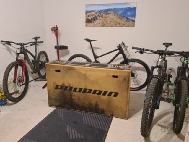 20220910_123153.jpg