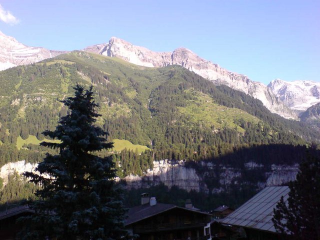 DSC000479.JPG