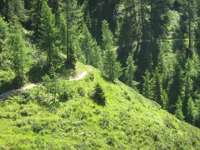 Schönste Bike Strecken in der Schweiz Seite 2 MTBNews.de