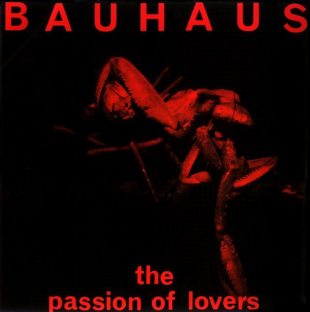 passionoflovers2.jpg