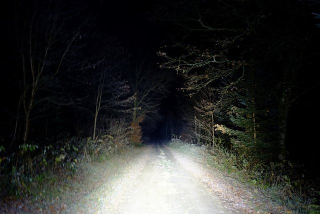dscf1954-jpg.665153