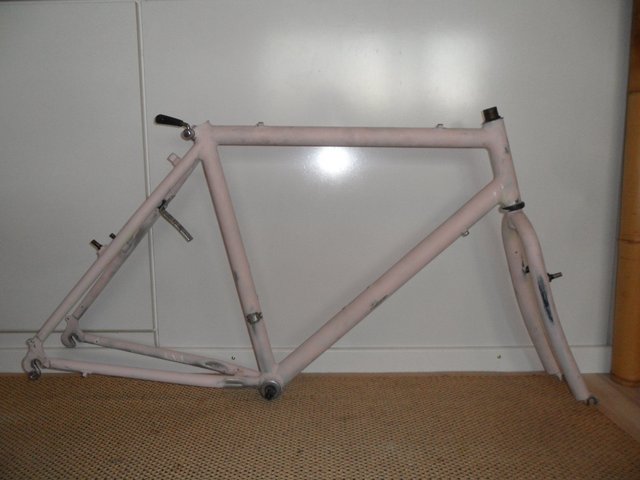 sam_0547-jpg.661466