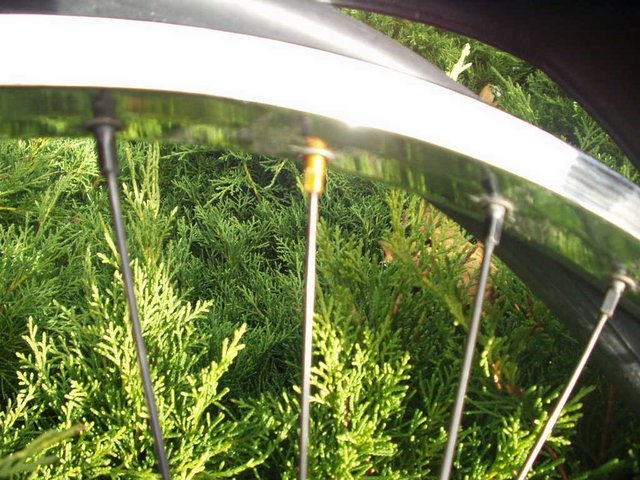 P1010008.JPG