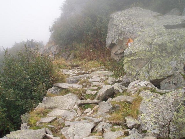 1348012.jpg
