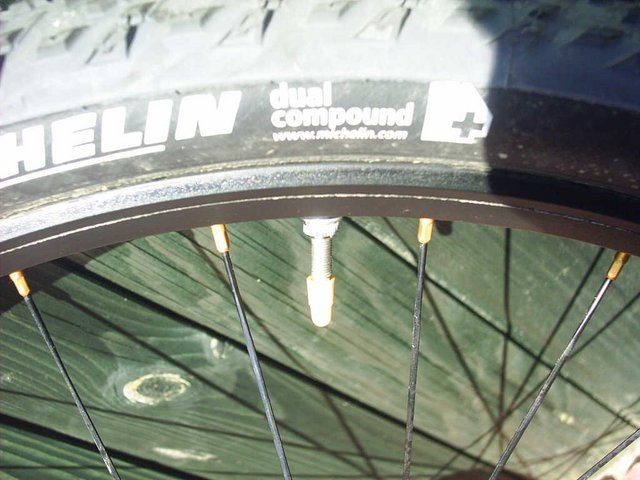 PIC_01021.JPG