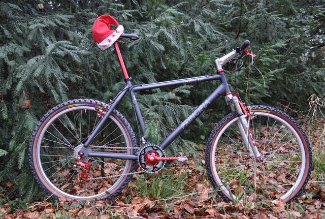 komplett-rechts-jpg.2067490
