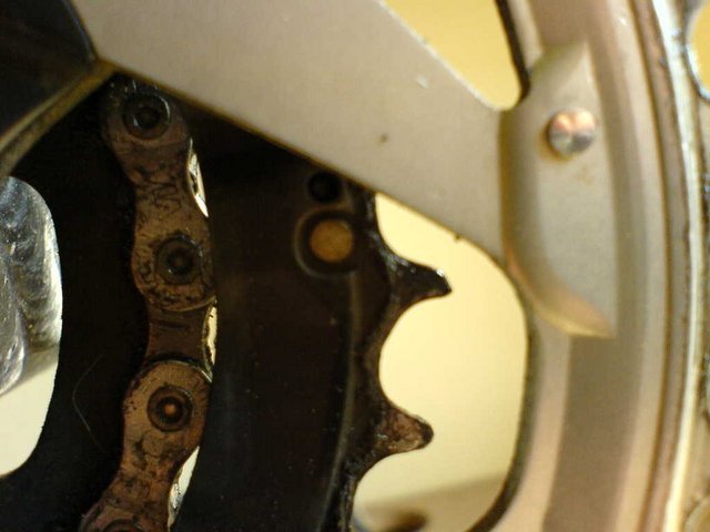 DSC00773.JPG