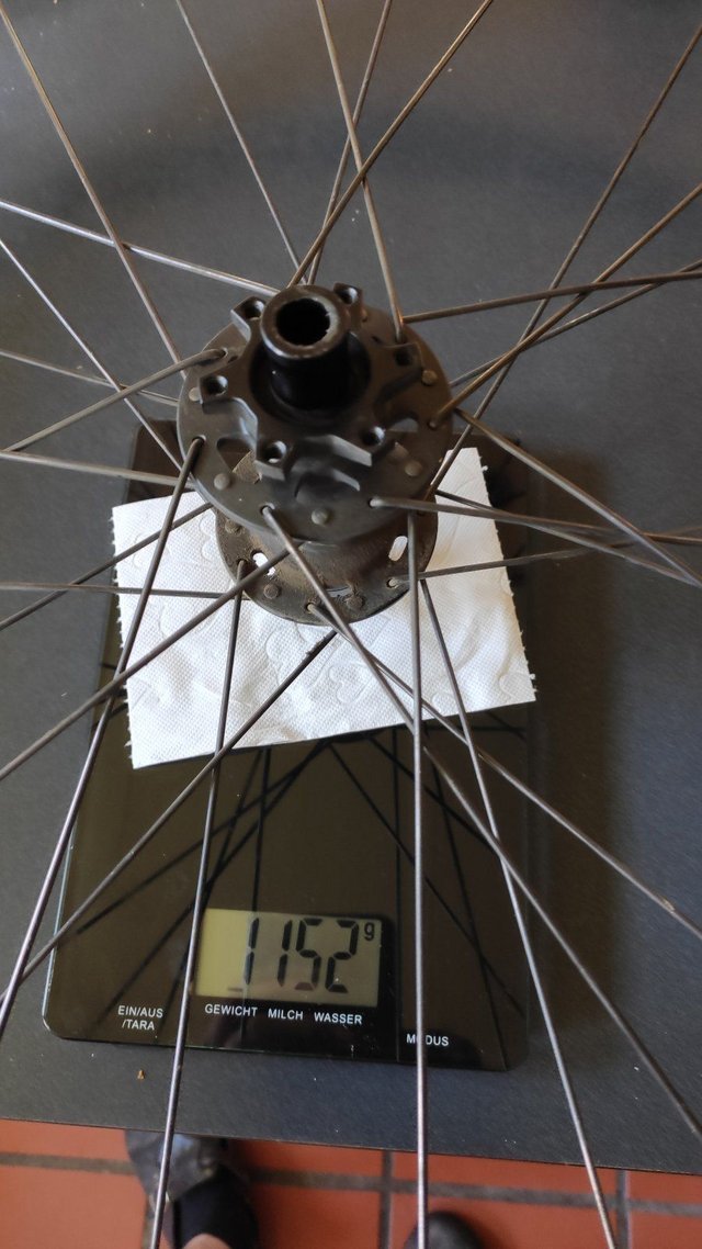 stumpy original hinten nackt.jpg