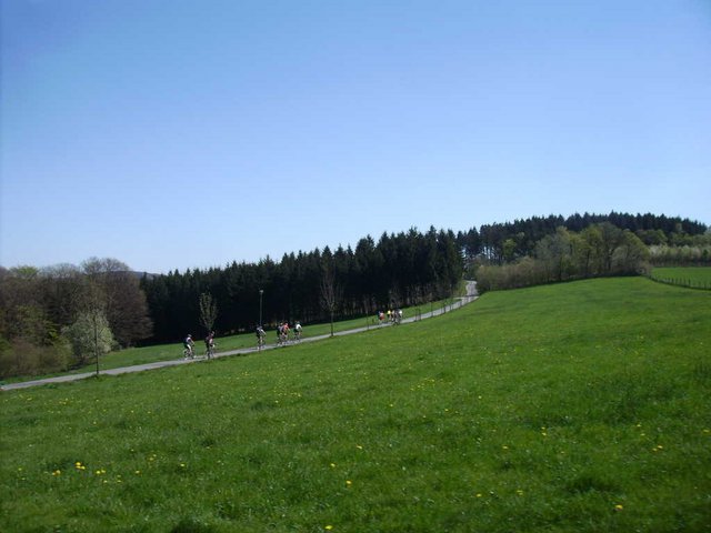 PICT00381.JPG