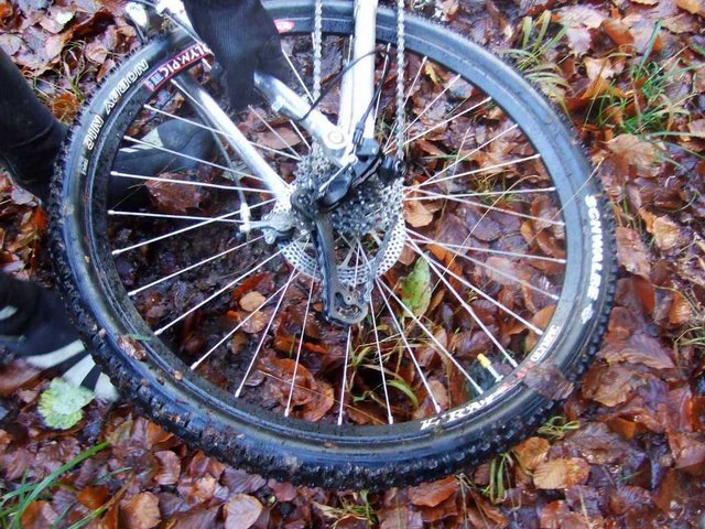 Bild_055.jpg