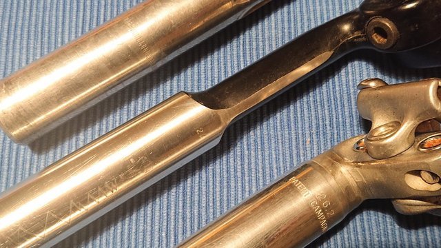 _20230310_012202.JPG
