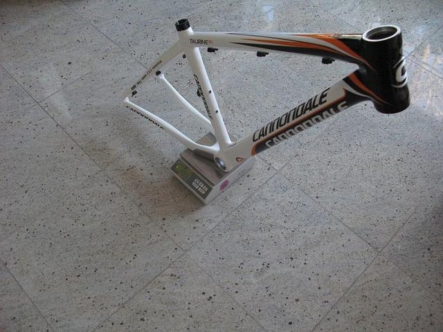 1761456.jpg