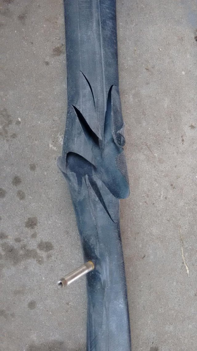 28192762sz.jpg