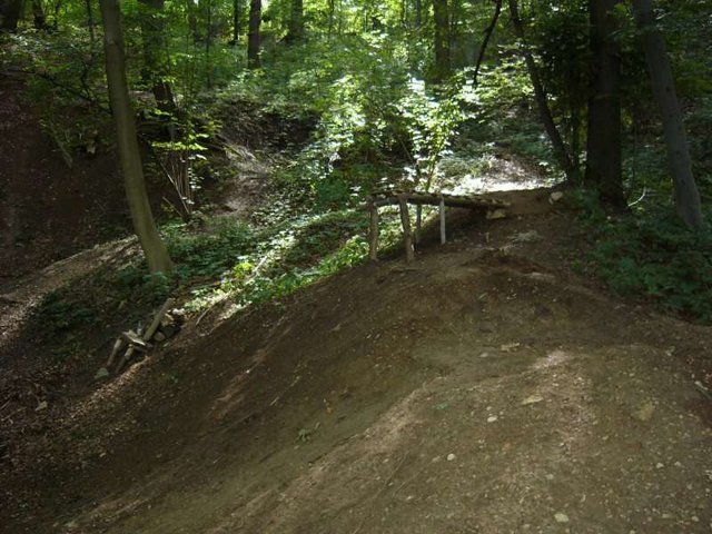 286.jpg