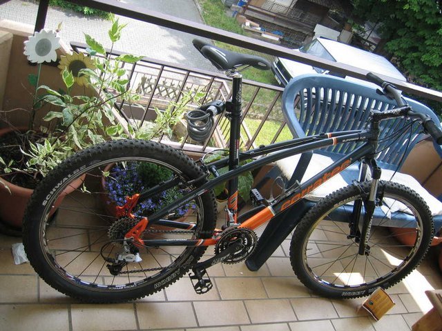 BACKUP_JUNI07_648.jpg