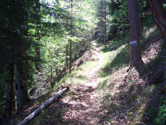 Bozen_Juni_2006_009.jpg