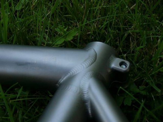 Moots31.jpg
