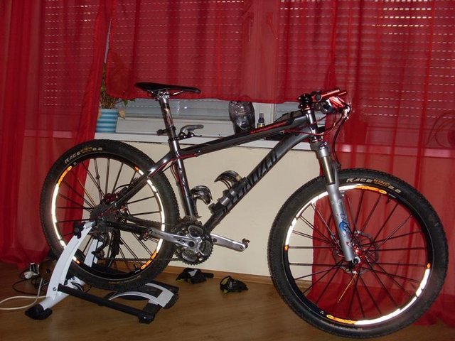b556l0gqm7wubrch4.jpg