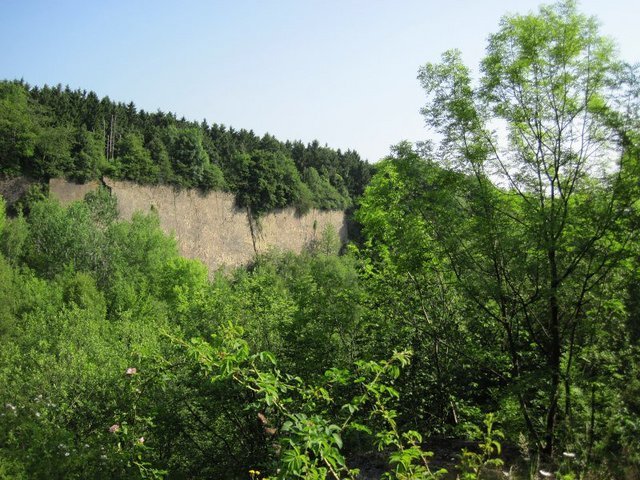 4732124365_51c716105a_b.jpg