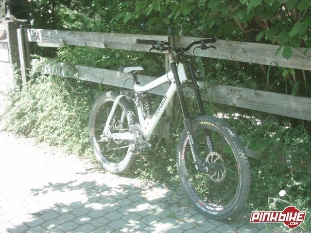 pbpic495009.jpg