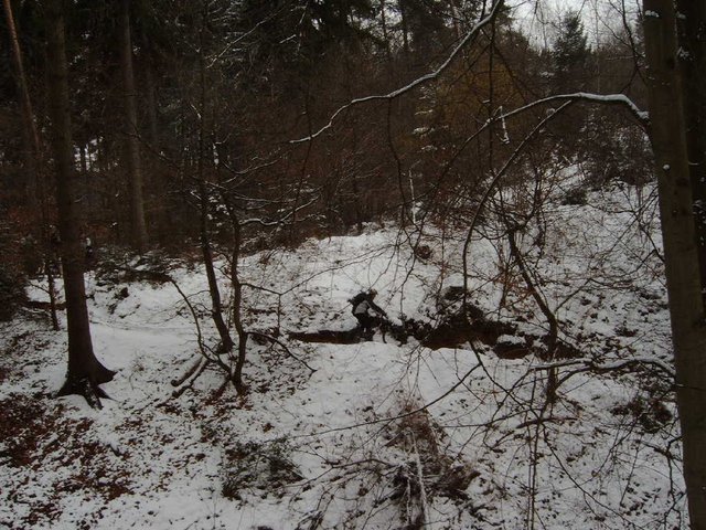 IMAG0011.JPG